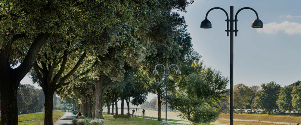 More Trees And Street Lamps 